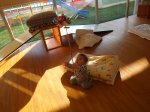 DSCF5022.jpg