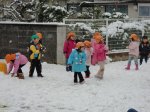 img3101.jpg